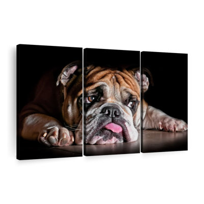 «Sad Bulldog», 3 pièces