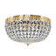 Petit Crystal 5 Light 14in x 7.5in Flush Mount in Polished Gold with Clear Radiance Crystals