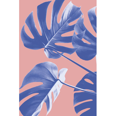 Monstera 06