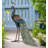 Animals Weather Resistant Metal Garden Statue