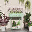 2 Tier Plant Stand 60*26*70 cm Steel 1 Piece Plant Stand Green with Storage Shelf