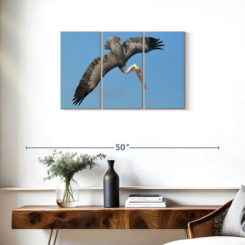 Pelican In The Air