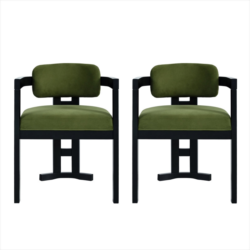 Indoor Upholstered Wood Dining Chair(Set Of 2),Green+Black