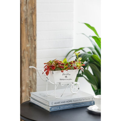Jardinière brouette en fer vieilli de 4 po de large blanc antique pour décor de rayonnage brouette vieillie, blanc antique, décor, succulentes