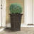 Siriana Self-Watering Resin Pot Planter-49415025-131267349