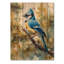 Blue Jay Among The Pines VII - Bird Wood Wall Decor - On Natural Pine Wood-656422256