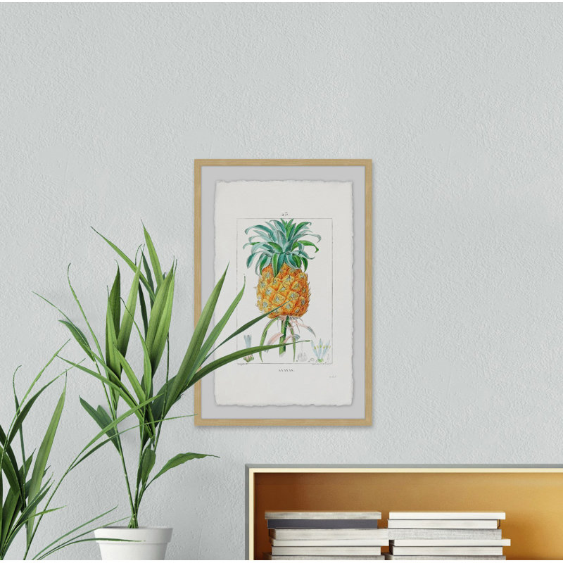 Botanical Pineapple - Single Picture Frame Print, 61 cm H x 41 cm W
