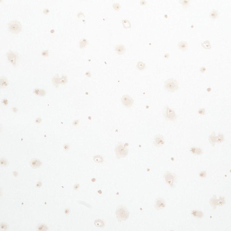 Schumacher x Porter Teleo Stellar Wallpaper, Neutral