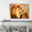 Male Lion, Namibia - Wrapped Canvas Print-2053628289