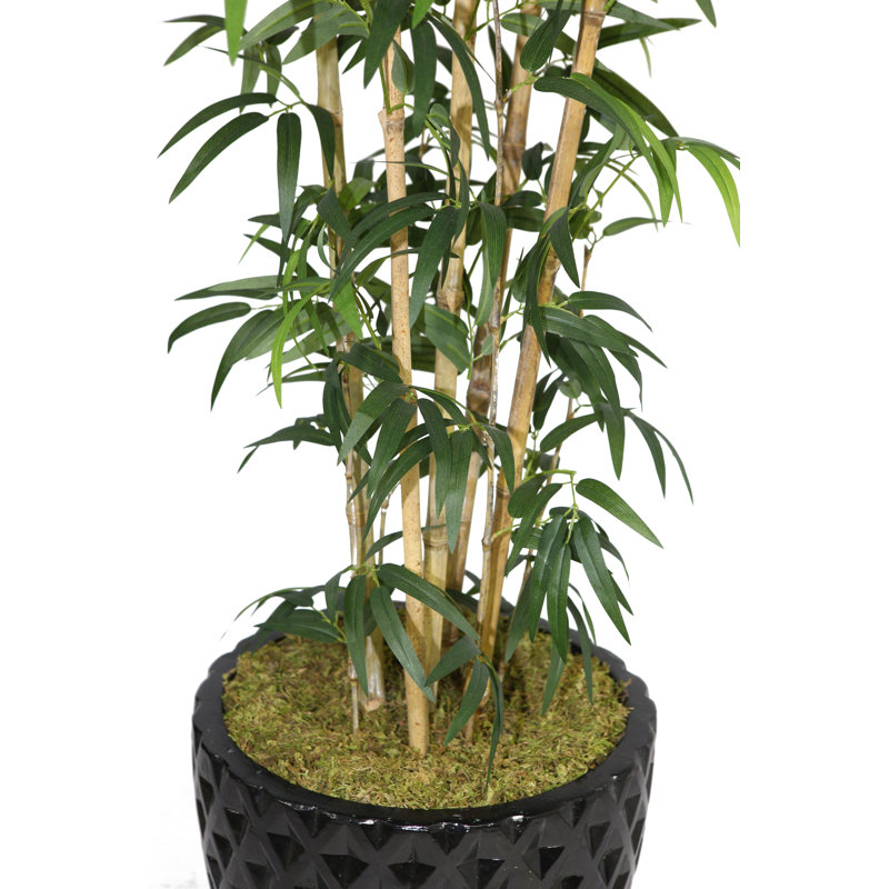 Bambou artificiel en pot Panama 72 po, Noir, Naturel