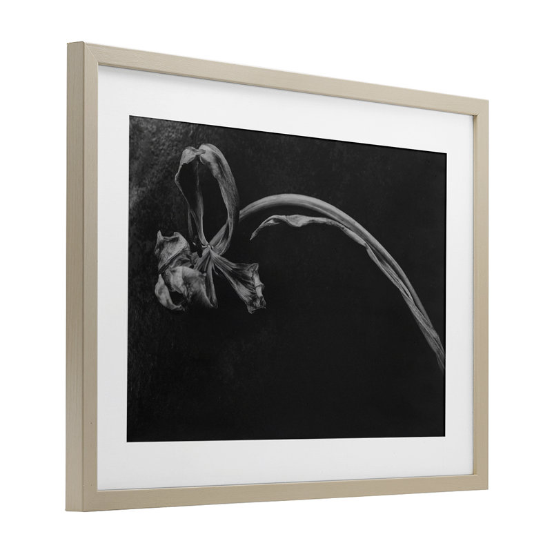 Doux effondrement, reproduction encadrée sous verre, par Amy Carroll, H 14 po x l 20 po, Cadre de récolte en pin