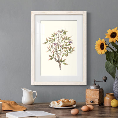«Twig Study II», impression encadrée