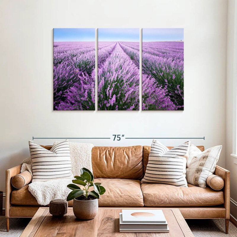 Champ de lavande d'Alvord en Provence, H 36 po x l 57 po