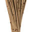 Faux Marsh Reed Plant Preserved