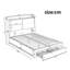 Cheveyo Upholstered Ottoman Bed With 2-in-1 Storage Drawers-935121921-934522811
