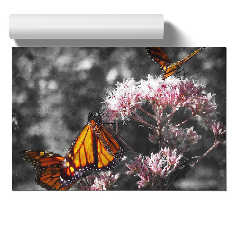 Monarch Butterflies Vol.2 - No Frame Print, 42cm H x 59cm W x 0.1cm D
