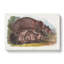 Grizzly Bears by J.W. Audubon - Wrapped Canvas-55359963