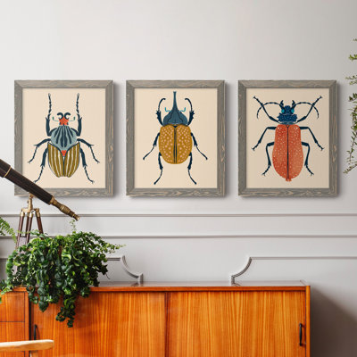 " Beetle Bug I " 3 - Pieces Painting Print