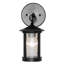 1 - Light LED Armed Sconce