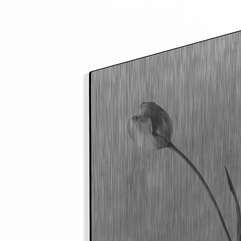 «Soft Tulips II» par Debra Van Swearingen, H 24 po x l 16 po