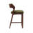 Patricia Modern Velvet Upholstered Counter Stool with Beech Wood Frame in Turtle Green-111807615-111807626