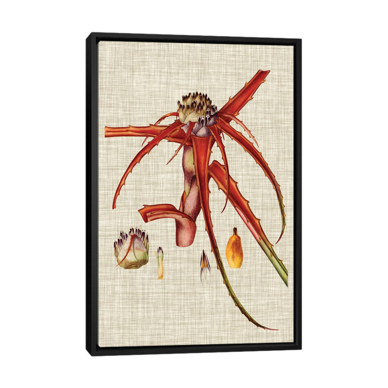 «Elegant Tropicals VI», reproduction d'impression sur toile tendue, H 60 po x l 40po x P 1,5 po, Toile avec cadre noir