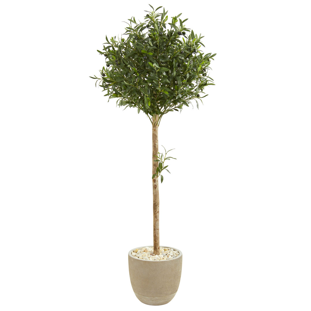 60'' Faux Olive Tree Tree in Earthenware Planter Fleur De Lis Living