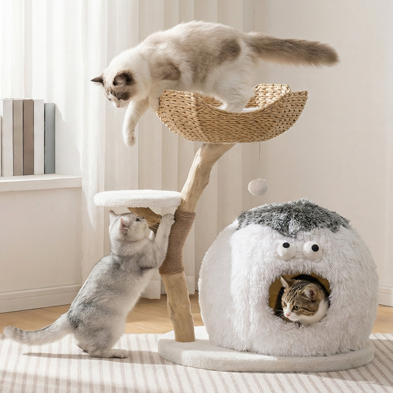 Arbre à chat