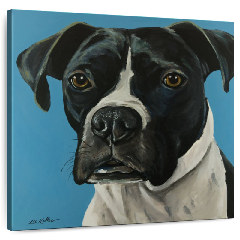 Brampt Boxer Black Boxer, 24" H x 24" W