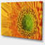 «Yellow Daisy Gerbera», gros plan - impression sur toile tendue-19240201