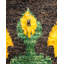 Tapis noir / vert / jaune / bleu noué à la main de conception unique 5 pi 1 po x 7 pi 10 po Urbo