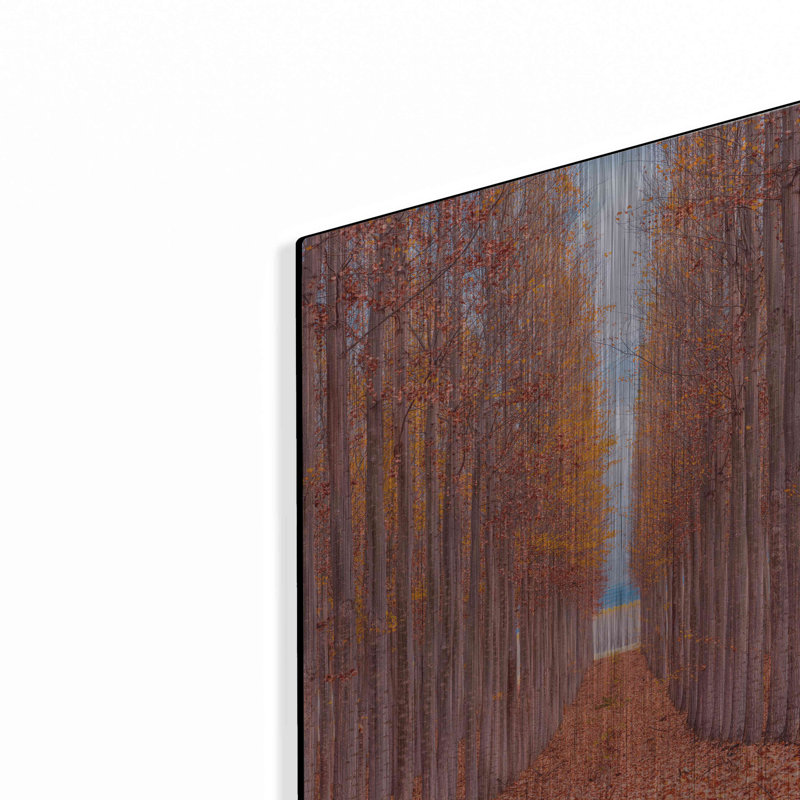 " Tree Farm " by Bruce Getty, 16" H x 12" W