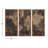 3 Piece Multi-Piece Image on Wood