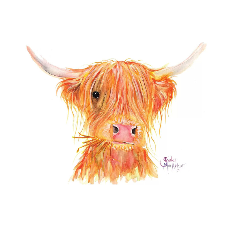 Fergus by Shirley Macarthur - Gallery-Wrapped Canvas Giclée on Canvas, 30.48 cm H x 30.48 cm W, Canvas