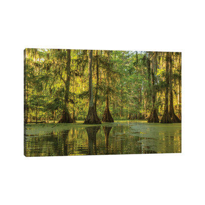 USA, Louisiana, Lake Martin. Cypress Swamp Forest by Jaynes Gallery - Wrapped Canvas Photograph