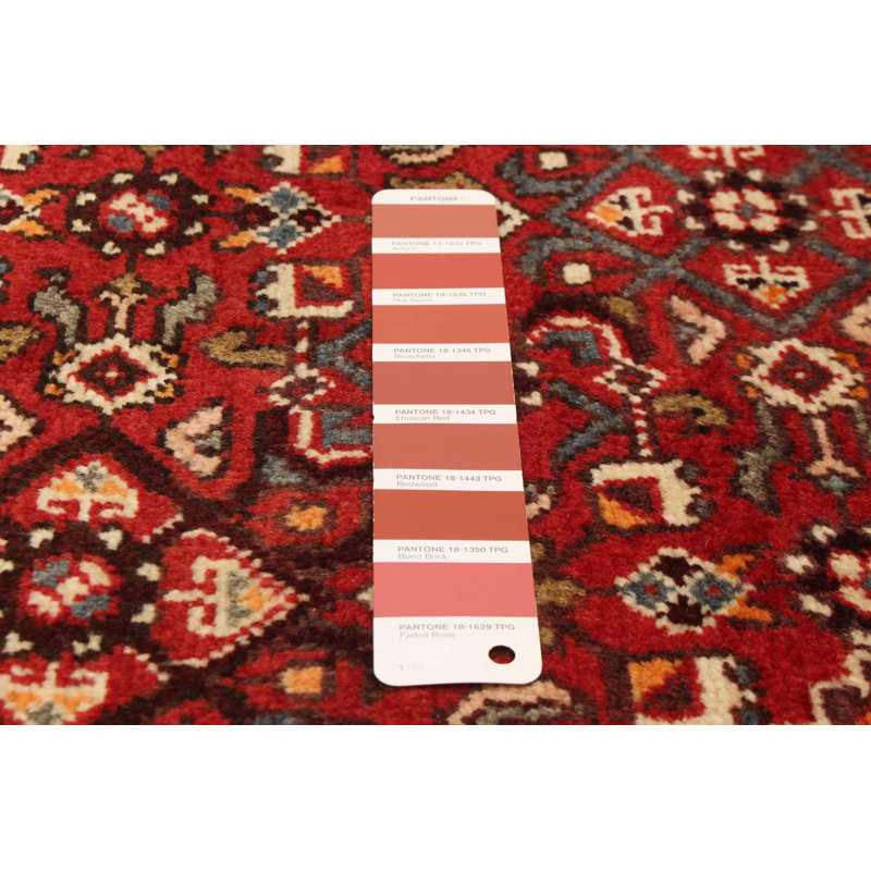 Andelz Red Rug 3'5" x 10'2"