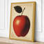 Apple Study Botanical 1 Piece Wrapped Canvas Wall Art-1909232138-1909232151