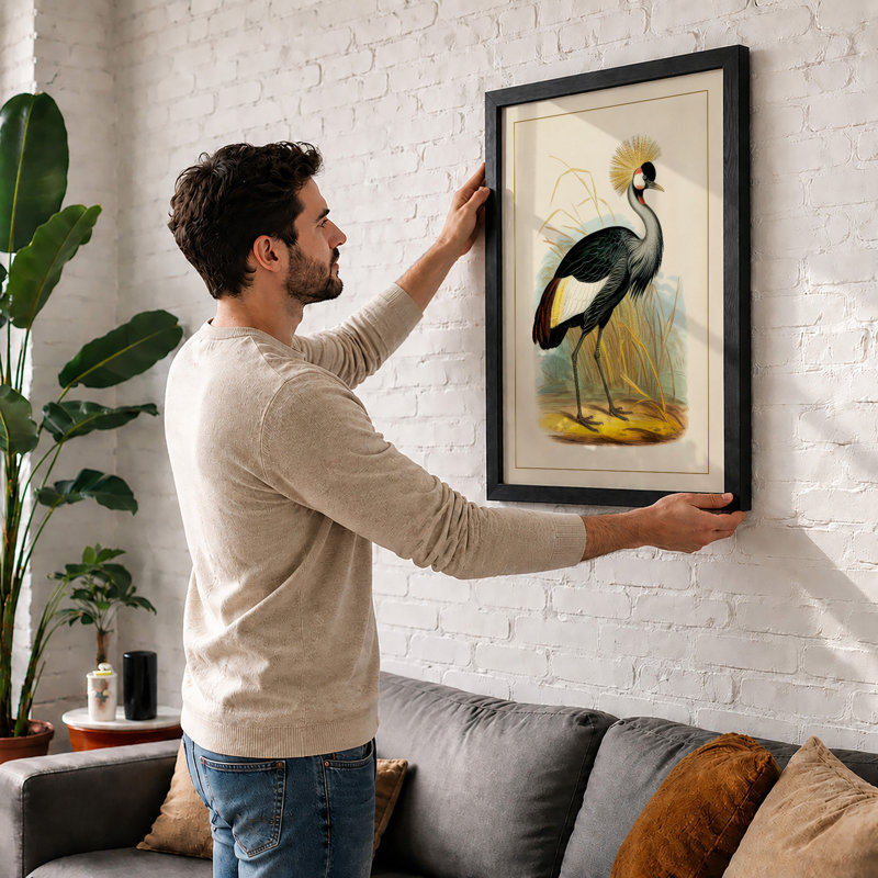 Crowned Crane Study Vintage - Print, Black, A3 - 42.0 x 29.7 cm