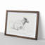 A Lying Sheep by Jean Bernard - Framed Print-55453431-55453432