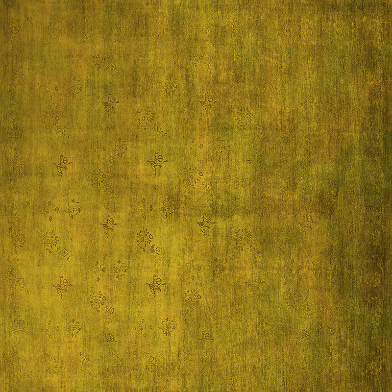 Wool Oriental Indoor Rug