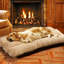 Lit pour chien avec coussin Goldie-517797710