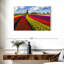 Ferme de tulipes pittoresque Alvord-108906561
