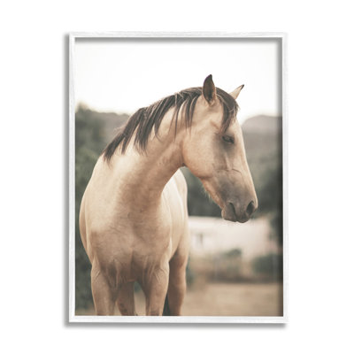 Paysage de campagne sereine, portrait de cheval brun par Leah Straatsma - photographie