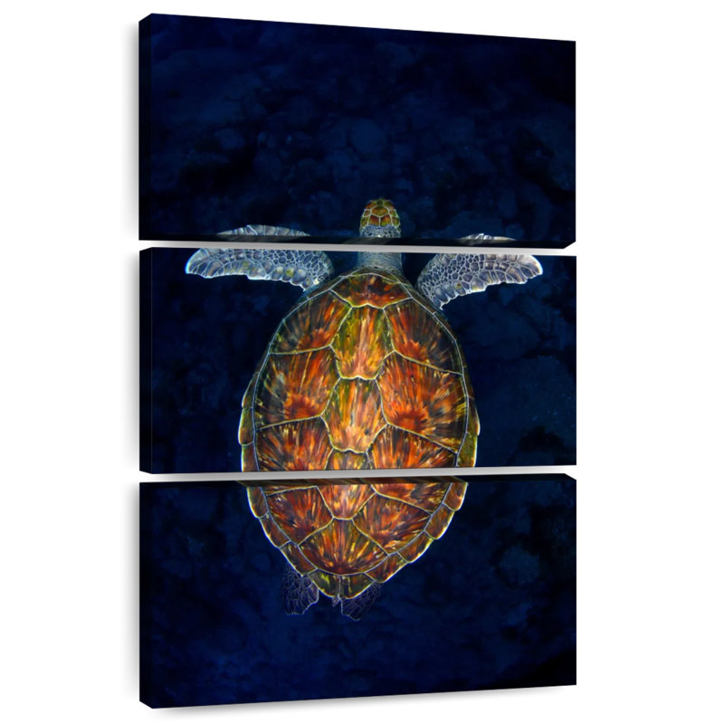 Turtle In The Abyss