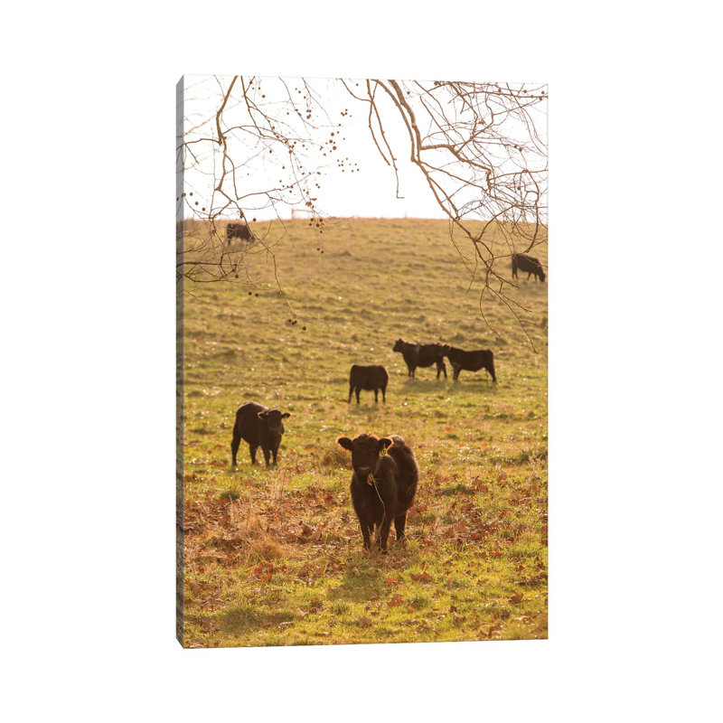 Fall Field II by Aledanda - Print on Canvas, Wrapped Canvas, 45.72cm H x 30.48cm W x 1.91cm D