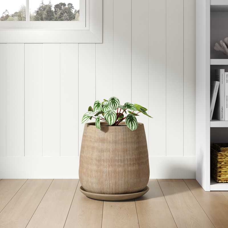 Turgeon Handmade Ceramic Pot Planter