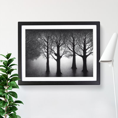 Enlightened Trees - Single Picture Frame Print