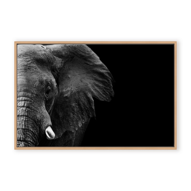 Nature Inspired Elephant by  - Picture Frame Photograph on Paper, Framed Canvas, 16" H x 24" W x 2.375" D, Gold