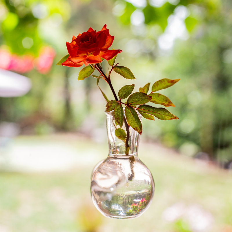 Glass Wall Vase