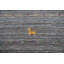 Tapis tribal Gabbeh 6 x 8